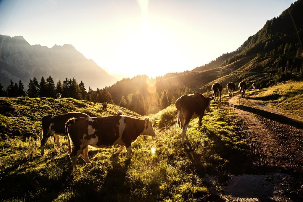 Hotel Salzburger Hof Leogang Kültér fotó